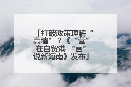 打破政策理解“高墙”？《“营”在自贸港 “画”说新海南》发布