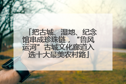 把古城、湿地、纪念馆串成珍珠链，“鲁风运河”古城文化廊道入选十大最美农村路