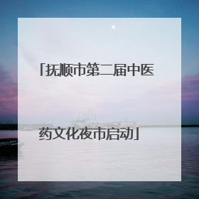 抚顺市第二届中医药文化夜市启动