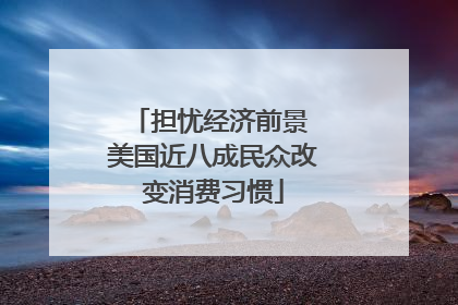 担忧经济前景 美国近八成民众改变消费习惯