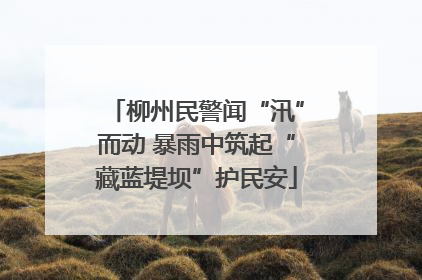 柳州民警闻“汛”而动 暴雨中筑起“藏蓝堤坝”护民安
