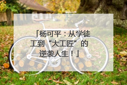 杨可平：从学徒工到“大工匠”的逆袭人生！