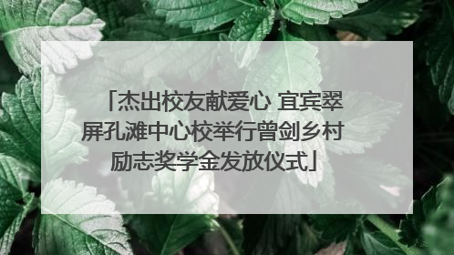 杰出校友献爱心 宜宾翠屏孔滩中心校举行曾剑乡村励志奖学金发放仪式