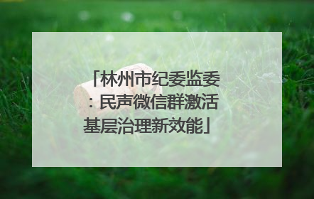 林州市纪委监委：民声微信群激活基层治理新效能
