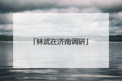 林武在济南调研