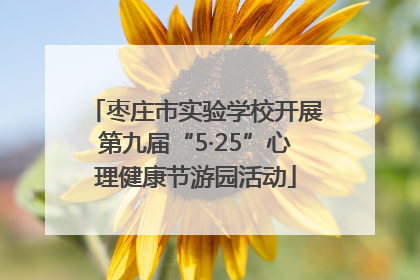 枣庄市实验学校开展第九届“5·25”心理健康节游园活动
