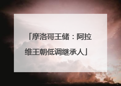 摩洛哥王储：阿拉维王朝低调继承人