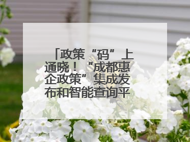 政策“码”上通晓！“成都惠企政策”集成发布和智能查询平台今日上线
