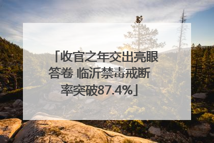 收官之年交出亮眼答卷 临沂禁毒戒断率突破87.4%