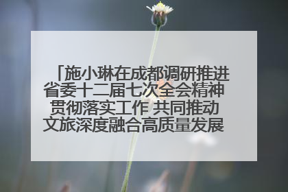 施小琳在成都调研推进省委十二届七次全会精神贯彻落实工作 共同推动文旅深度融合高质量发展 加快打造支柱产业民生产业幸福产业