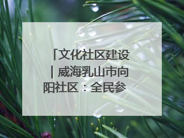 文化社区建设｜威海乳山市向阳社区：全民参与 共建共享