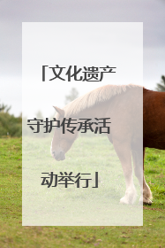 文化遗产守护传承活动举行