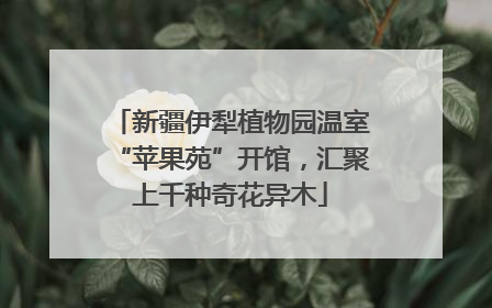 新疆伊犁植物园温室“苹果苑”开馆，汇聚上千种奇花异木