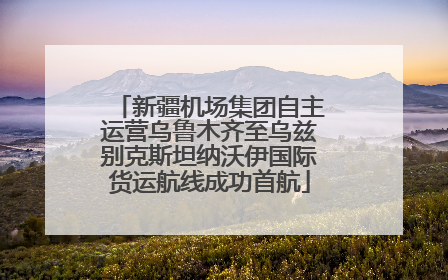 新疆机场集团自主运营乌鲁木齐至乌兹别克斯坦纳沃伊国际货运航线成功首航