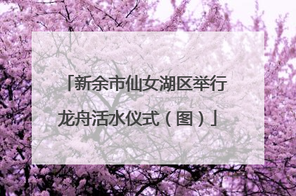 新余市仙女湖区举行龙舟活水仪式（图）