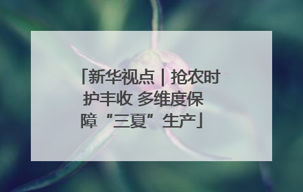 新华视点｜抢农时 护丰收 多维度保障“三夏”生产