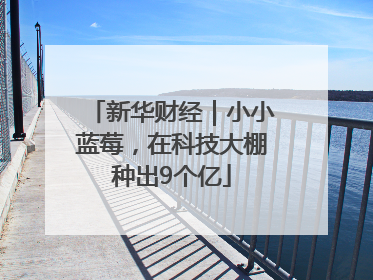 新华财经｜小小蓝莓，在科技大棚种出9个亿