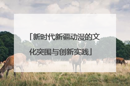 新时代新疆动漫的文化突围与创新实践