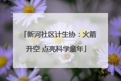 新河社区计生协：火箭升空 点亮科学童年