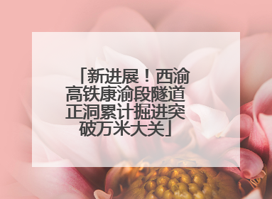 新进展！西渝高铁康渝段隧道正洞累计掘进突破万米大关
