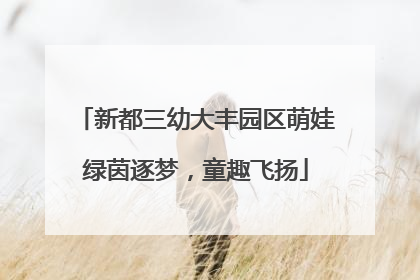 新都三幼大丰园区萌娃绿茵逐梦，童趣飞扬
