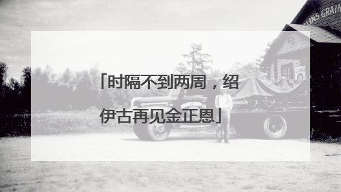 时隔不到两周，绍伊古再见金正恩