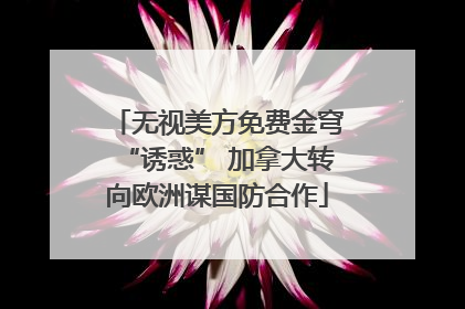 无视美方免费金穹“诱惑” 加拿大转向欧洲谋国防合作