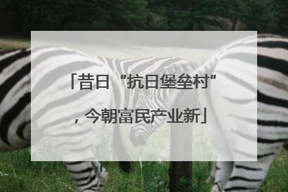 昔日“抗日堡垒村”，今朝富民产业新