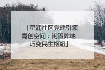 星浦社区党建引领青创空间：闲置阵地巧变民生枢纽