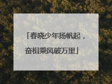 春晓少年扬帆起，奋楫乘风破万里