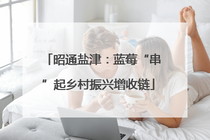 昭通盐津：蓝莓“串”起乡村振兴增收链