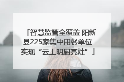 智慧监管全覆盖 阳新县225家集中用餐单位实现“云上明厨亮灶”