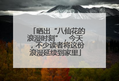 晒出“八仙花的浪漫时刻”，今天，不少读者将这份浪漫延续到家里