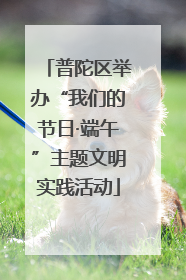 普陀区举办“我们的节日·端午”主题文明实践活动
