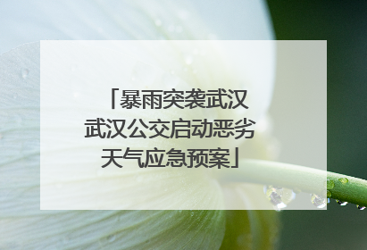 暴雨突袭武汉 武汉公交启动恶劣天气应急预案