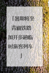 暑期将至 青藏铁路加开多趟临时旅客列车