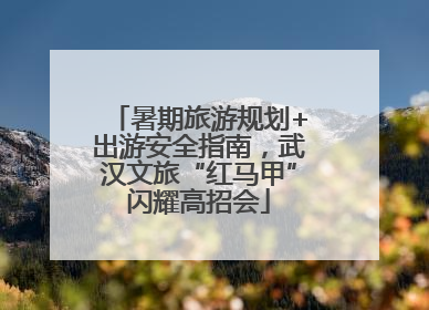 暑期旅游规划+出游安全指南，武汉文旅“红马甲”闪耀高招会