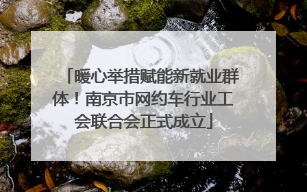 暖心举措赋能新就业群体！南京市网约车行业工会联合会正式成立