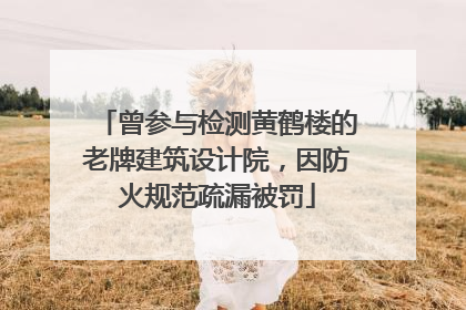 曾参与检测黄鹤楼的老牌建筑设计院，因防火规范疏漏被罚