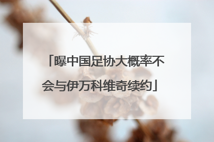 曝中国足协大概率不会与伊万科维奇续约