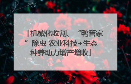 机械化收割、“鸭管家”除虫 农业科技+生态种养助力增产增收