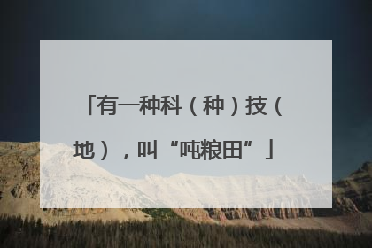 有一种科（种）技（地），叫“吨粮田”