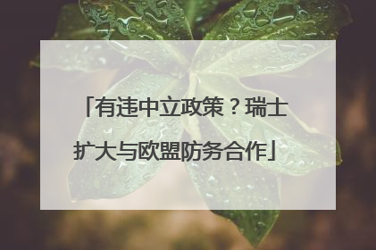 有违中立政策？瑞士扩大与欧盟防务合作