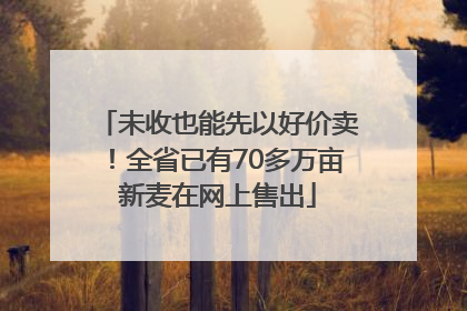 未收也能先以好价卖！全省已有70多万亩新麦在网上售出