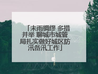 未雨绸缪 多措并举 聊城市城管局扎实做好城区防汛备汛工作