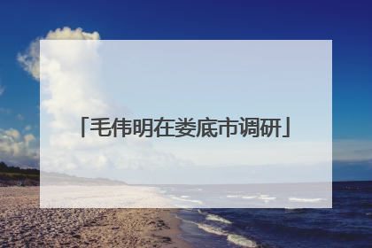 毛伟明在娄底市调研