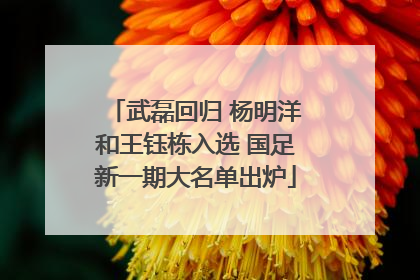 武磊回归 杨明洋和王钰栋入选 国足新一期大名单出炉