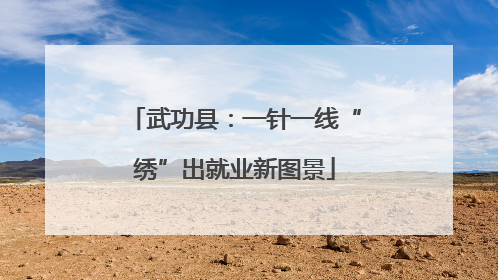 武功县：一针一线“绣”出就业新图景