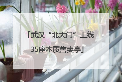 武汉“北大门”上线35座木质售卖亭