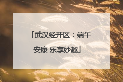 武汉经开区：端午安康 乐享妙趣
